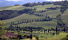 Panorama sulla Val d'Orcia